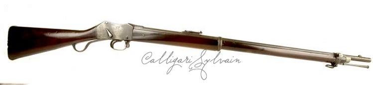 Carabine-1875-Martini- Photo Carabine Fusil