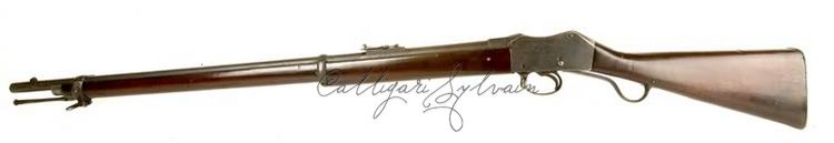 Carabine-1875-Martini-2 Photo Carabine Fusil