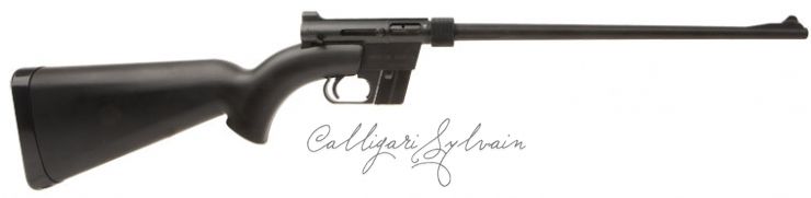 Carabine-Ar7-2 Photo Carabine Fusil