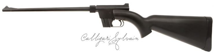 Carabine-Ar7-5 Photo Carabine Fusil