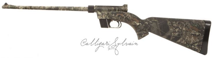 Carabine-Ar7-Camo Photo Carabine Fusil