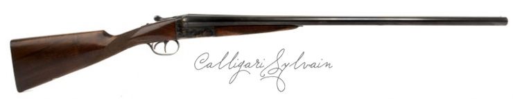 Carabine-Aya-12-Bore-10 Photo Carabine Fusil