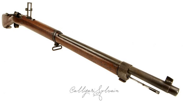 Carabine-Mauser-1896-3 Photo Carabine Fusil