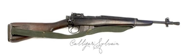 Carabine-Mk5-Le Photo Carabine Fusil