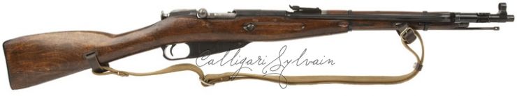 Carabine-Nagant-Carbine-1954 Photo Carabine Fusil
