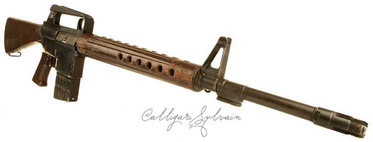 Fusil-Assaut-Ar10-3 Photo Fusil Assaut