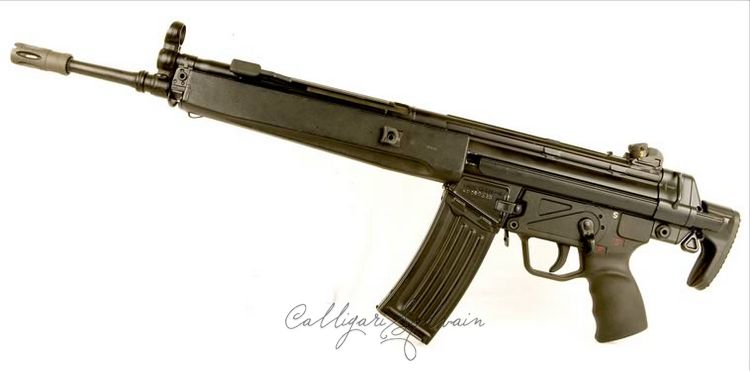 Fusil-Assaut-Hk33-17 Photo Fusil Assaut