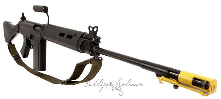 Fusil-Assaut-L1a1-8 Photo Fusil Assaut