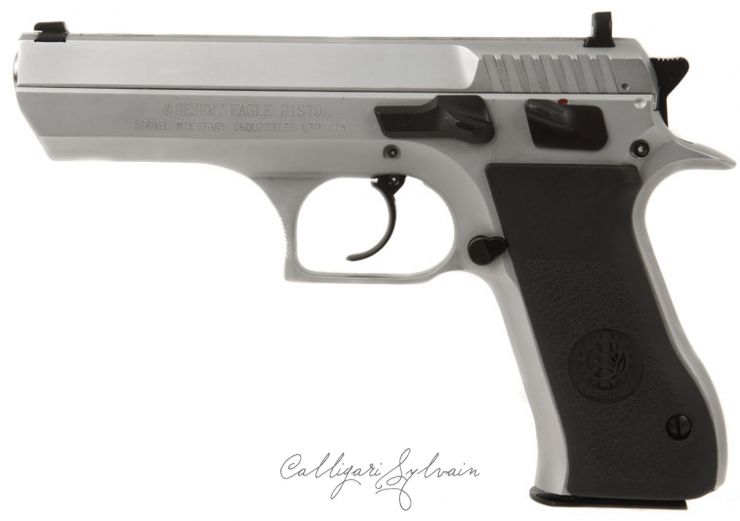 Pistolet-Baby-Eagle-2 Photo Pistolet