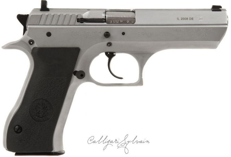 Pistolet-Baby-Eagle-4 Photo Pistolet