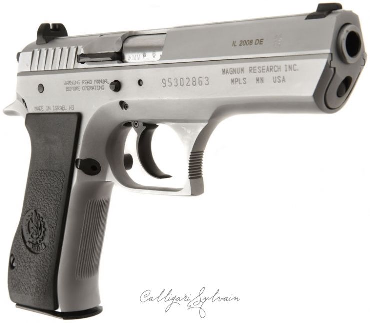 Pistolet-Baby-Eagle-7 Photo Pistolet