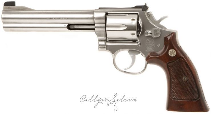 Revolver-686-Stainless Photo Revolver